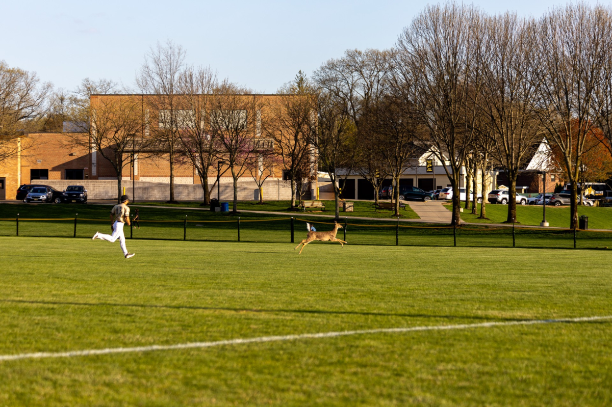 Baseball Comes Out Swinging